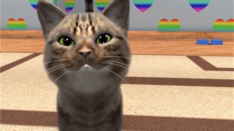 virtual cat simulator